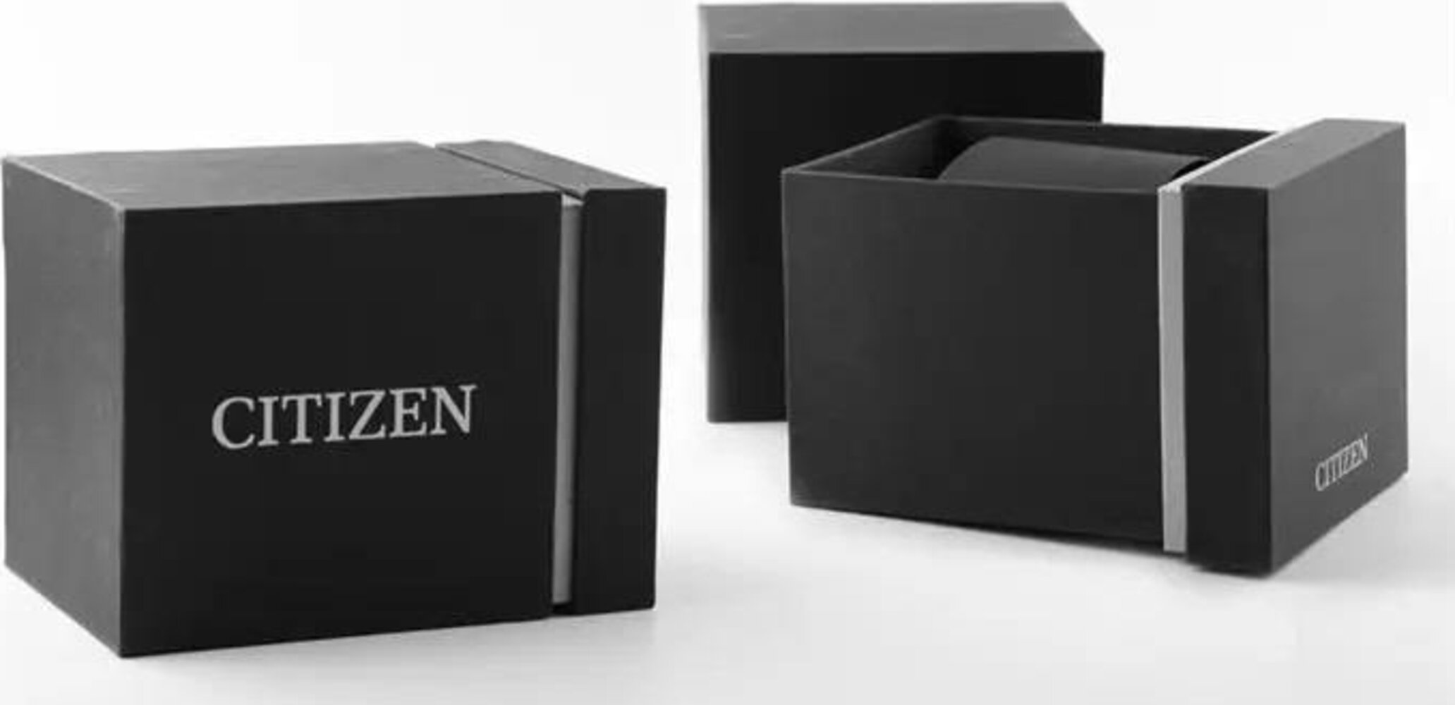 Citizen NH9131-73L Saat