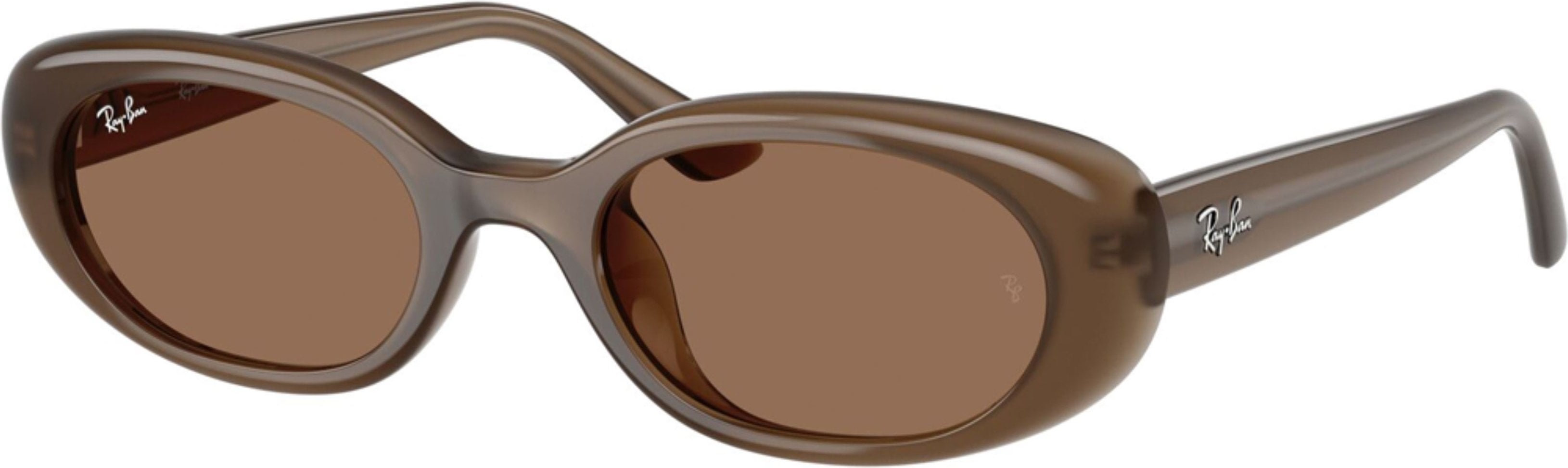 Ray-Ban RB-0RB4441D-677973-53 Güneş Gözlüğü