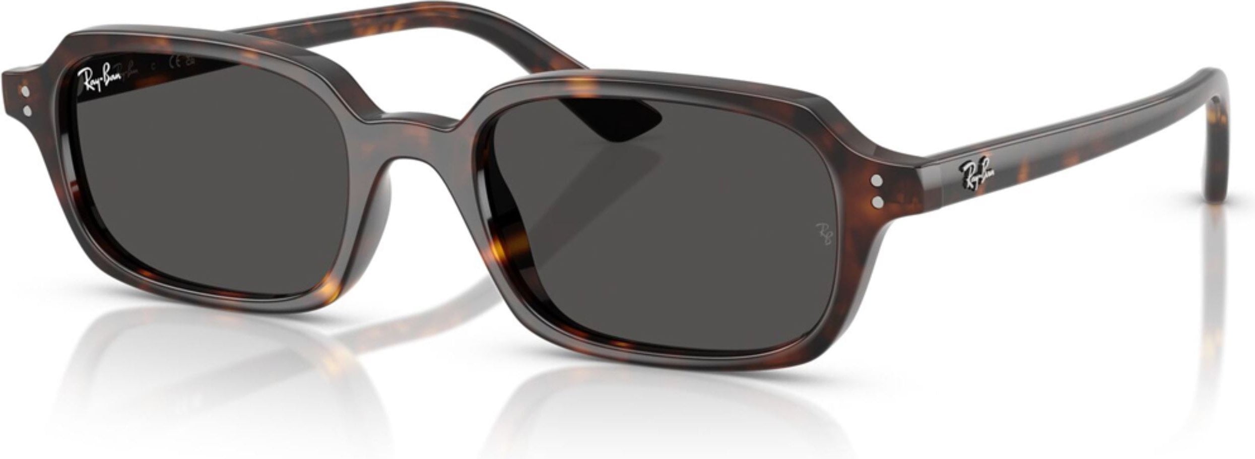 Ray-Ban RB-0RB4455-135987-49 Güneş Gözlüğü