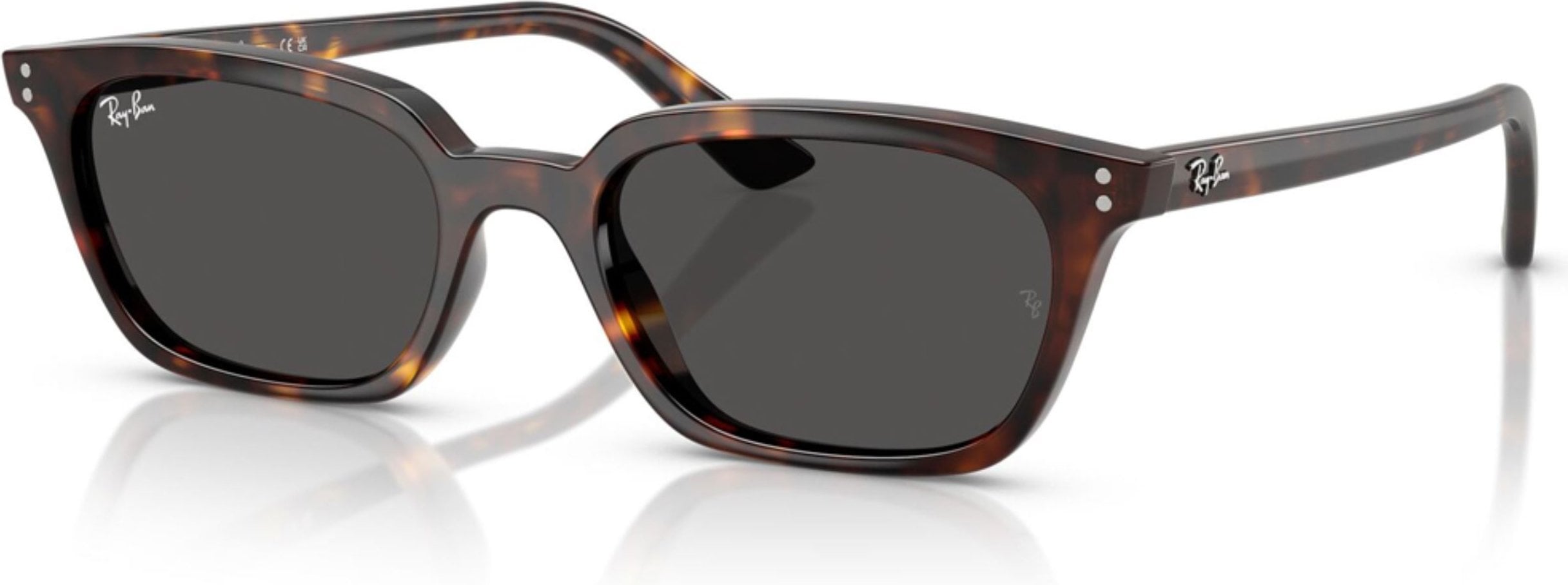 Ray-Ban RB-0RB4456-135987-53 Güneş Gözlüğü