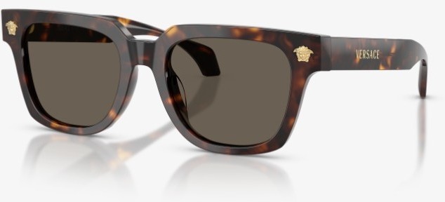 Versace VE-0VE4510U-108.3-52 Güneş Gözlüğü