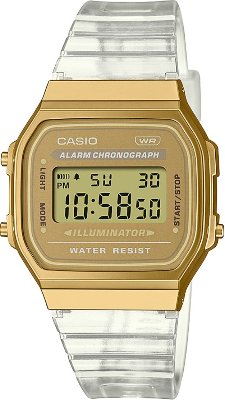Casio A168XESG-9ADF Kol Saati