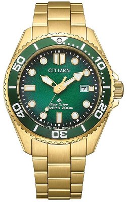 Citizen BN0262-59W Kol Saati