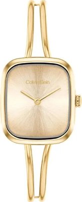 Calvin Klein CK25100132 Saat