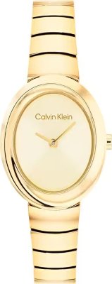 Calvin Klein CK25100147 Saat