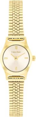 Calvin Klein CK25100201 Saat