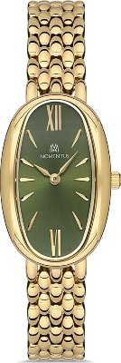 Momentus CW254G-15SG Saat