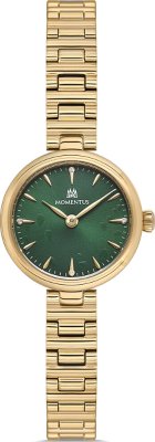 Momentus CW313G-15SG Saat