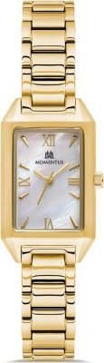 Momentus CW319G-09SG Saat