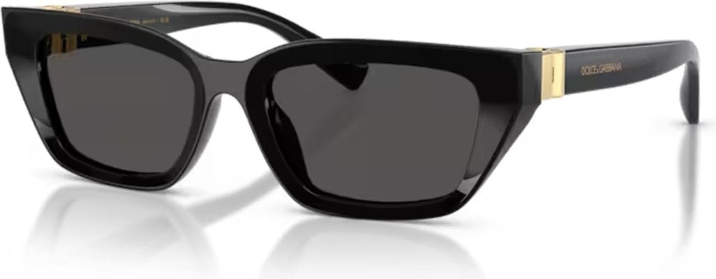 Dolce Gabbana DG-0DG4532-501.87-53 Güneş Gözlüğü