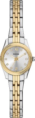 Fossil FES5473 Saat