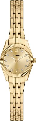 Fossil FES5474 Saat