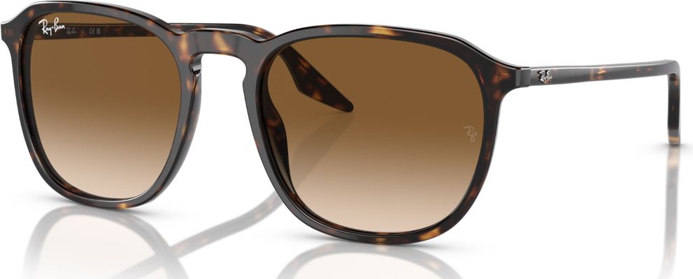 -Ray-Ban-RB-0RB2203-902.51-55-Güneş Gözlüğü