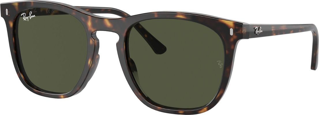 -Ray-Ban-RB-0RB2210-902.31-53-Güneş Gözlüğü