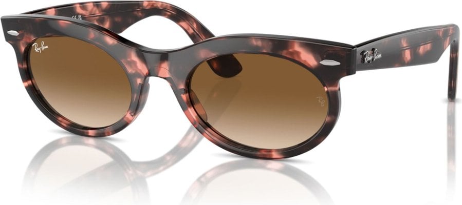 Ray-Ban RB-0RB2242-133451-50 Güneş Gözlüğü