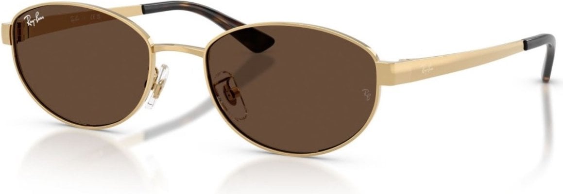 Ray-Ban RB-0RB3774D-001.73-55 Güneş Gözlüğü
