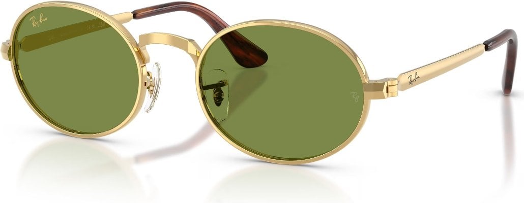 Ray-Ban RB-0RB3931-001.4E-54 Güneş Gözlüğü