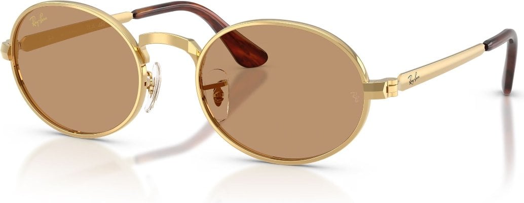Ray-Ban RB-0RB3931-001.53-54 Güneş Gözlüğü