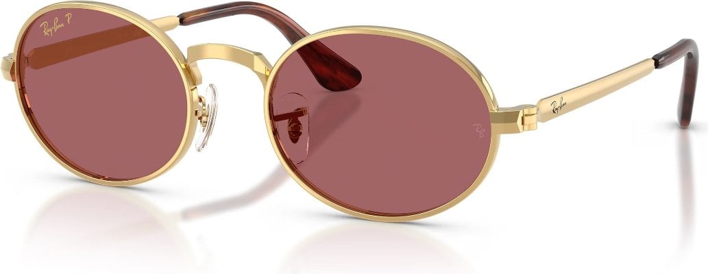 Ray-Ban RB-0RB3931-001.AF-54 Güneş Gözlüğü