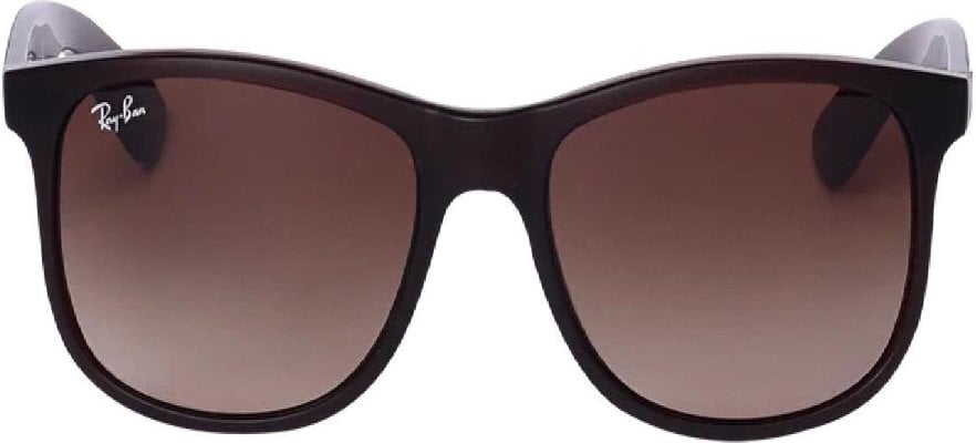 -Ray-Ban-RB-0RB4202-607313-55-Güneş Gözlüğü