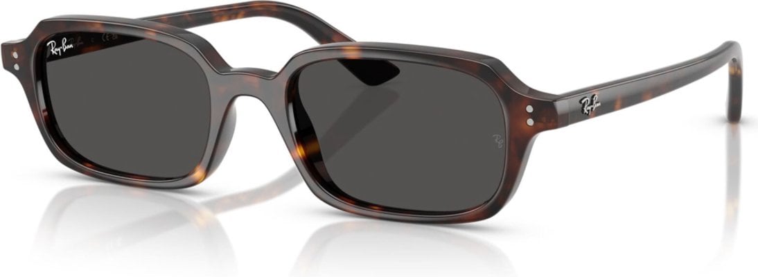 Ray-Ban RB-0RB4455-135987-49 Güneş Gözlüğü