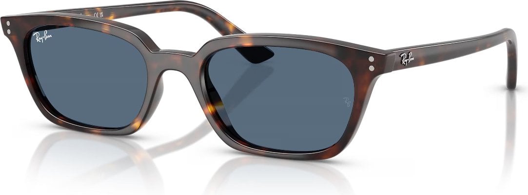 Ray-Ban RB-0RB4456-135980-53 Güneş Gözlüğü