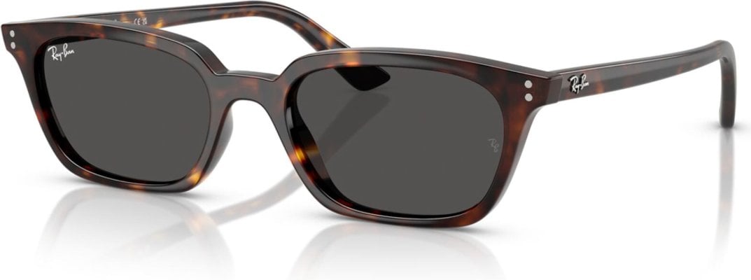 Ray-Ban RB-0RB4456-135987-53 Güneş Gözlüğü
