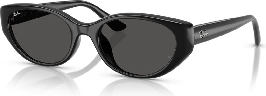 Ray-Ban RB-0RB4457D-667787-55 Güneş Gözlüğü