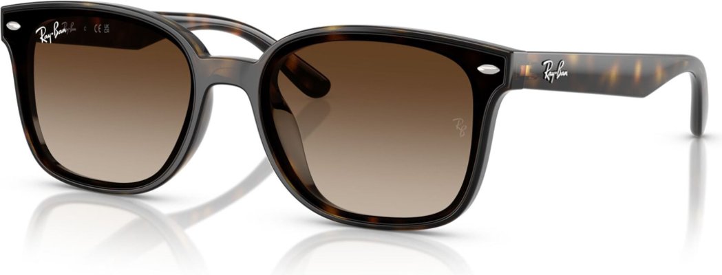 -Ray-Ban-RB-0RB4461D-710.13-64-Güneş Gözlüğü