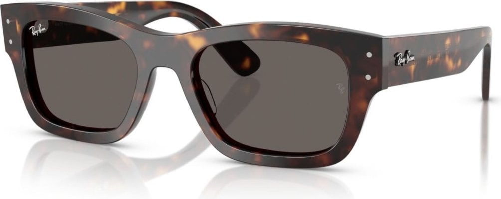 Ray-Ban RB-0RB7683S-902.B1-55 Güneş Gözlüğü