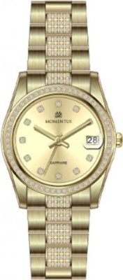 Momentus SS238G-08SG Kol Saati