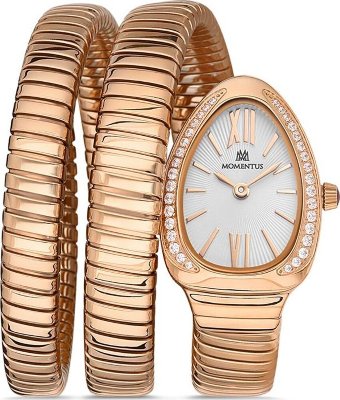 Momentus SS256R-02SR Saat