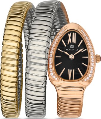 Momentus SS256R-06SZ Saat