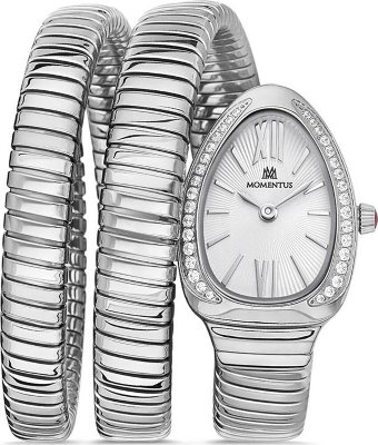 Momentus SS256S-02SS Saat