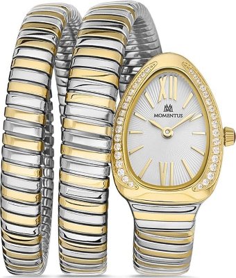 Momentus SS256T-02SG Saat