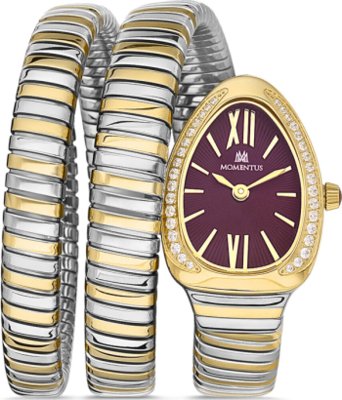Momentus SS256T-14SG Saat