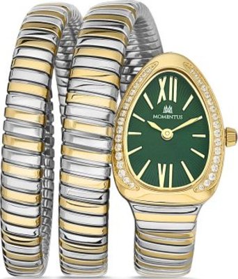 Momentus SS256T-15SG Saat