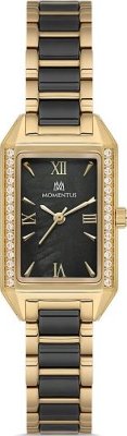 Momentus SS273T-04SG Saat