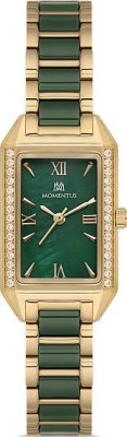 Momentus SS273T-15SG Saat