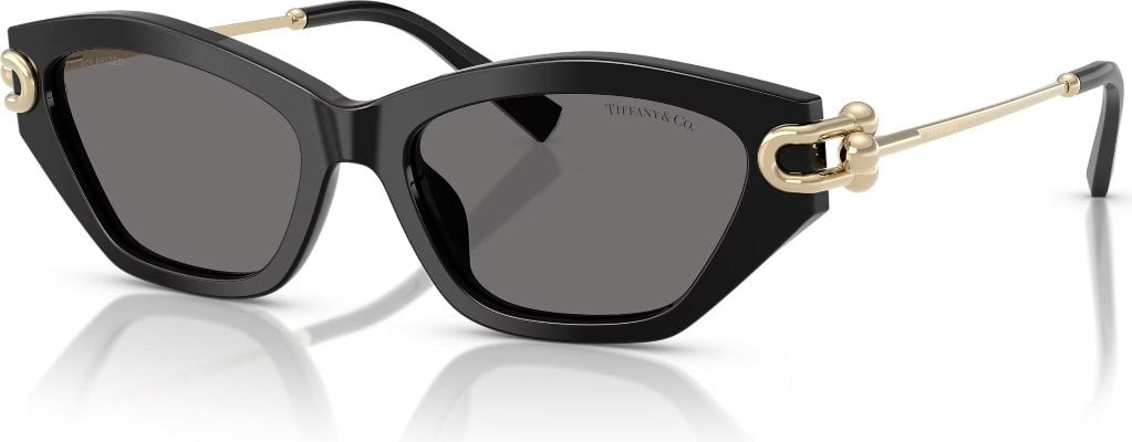 Tiffany TF-0TF4231U-800181-53 Güneş Gözlüğü