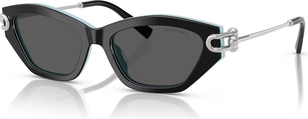 Tiffany TF-0TF4231U-8055S4-53 Güneş Gözlüğü
