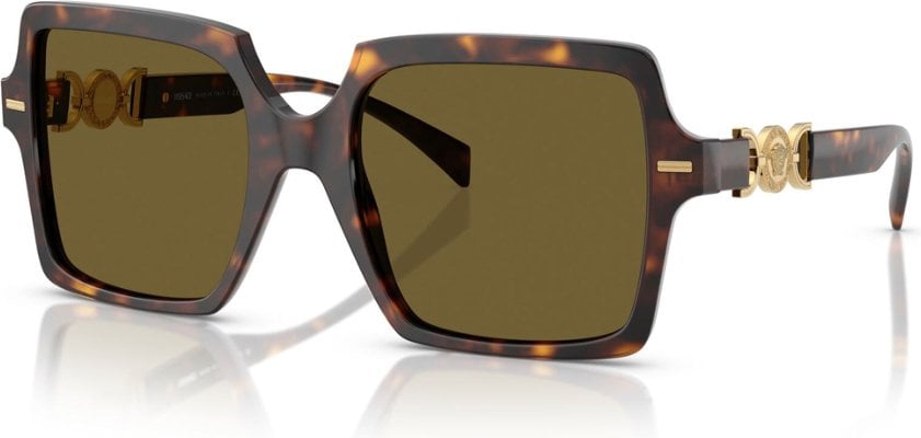 Versace VE-0VE4441-108.73-55 Güneş Gözlüğü