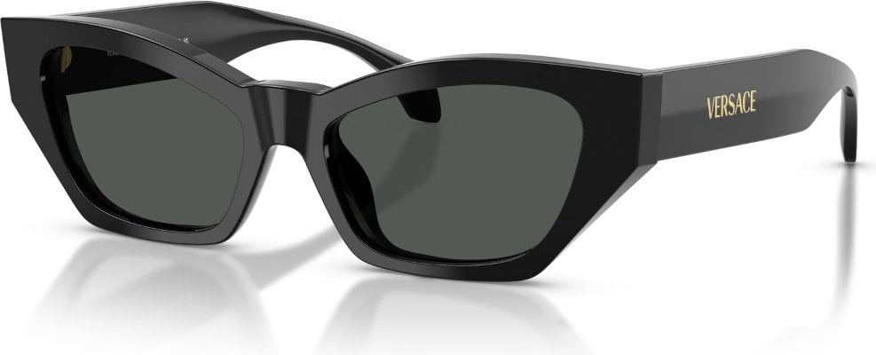 -Versace-VE-0VE4488U-GB1.87-53-Güneş Gözlüğü