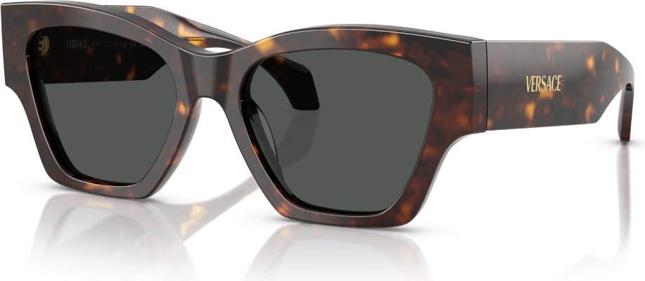 -Versace-VE-0VE4492U-108.87-53-Güneş Gözlüğü