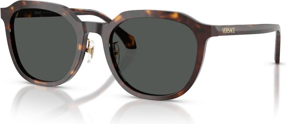 Versace VE-0VE4493D-108.87-55 Güneş Gözlüğü