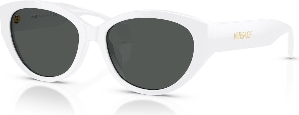 -Versace-VE-0VE4495D-314.87-56-Güneş Gözlüğü