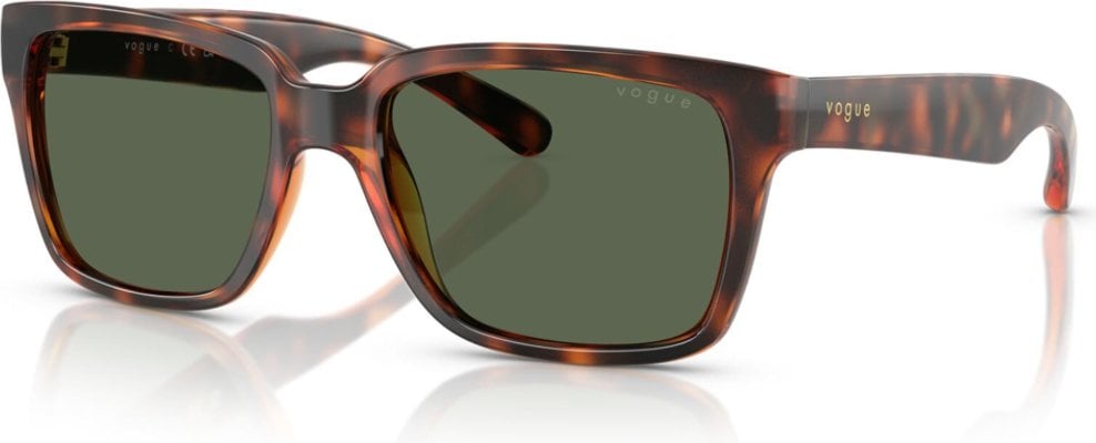 Vogue VO-0VO5648SI-271871-54 Güneş Gözlüğü
